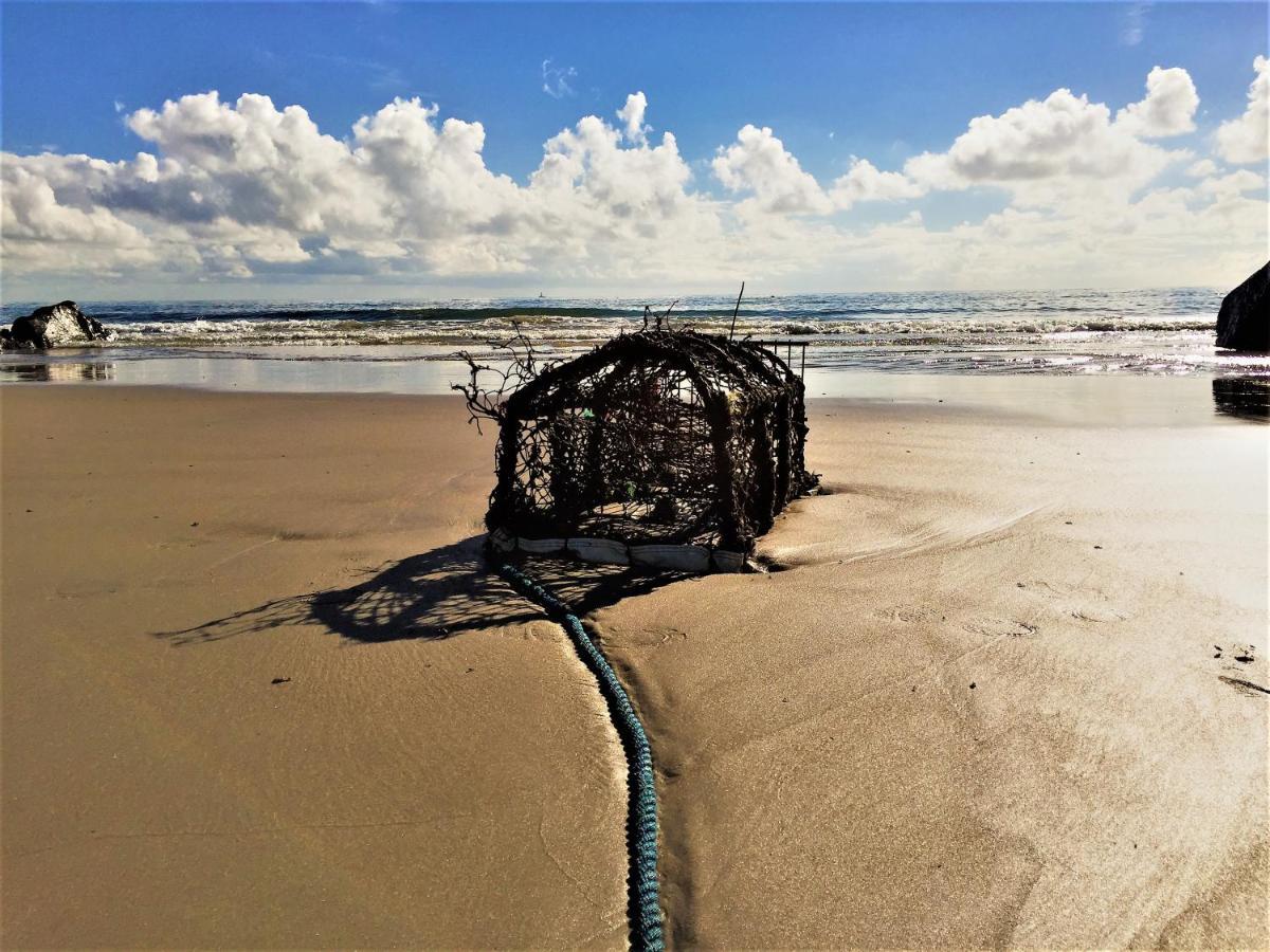 St Awaries Studio, Carne Rosslare Harbour Exterior foto