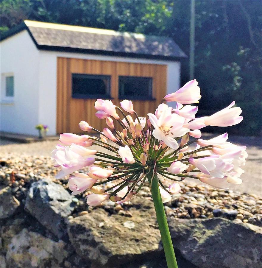 St Awaries Studio, Carne Rosslare Harbour Exterior foto